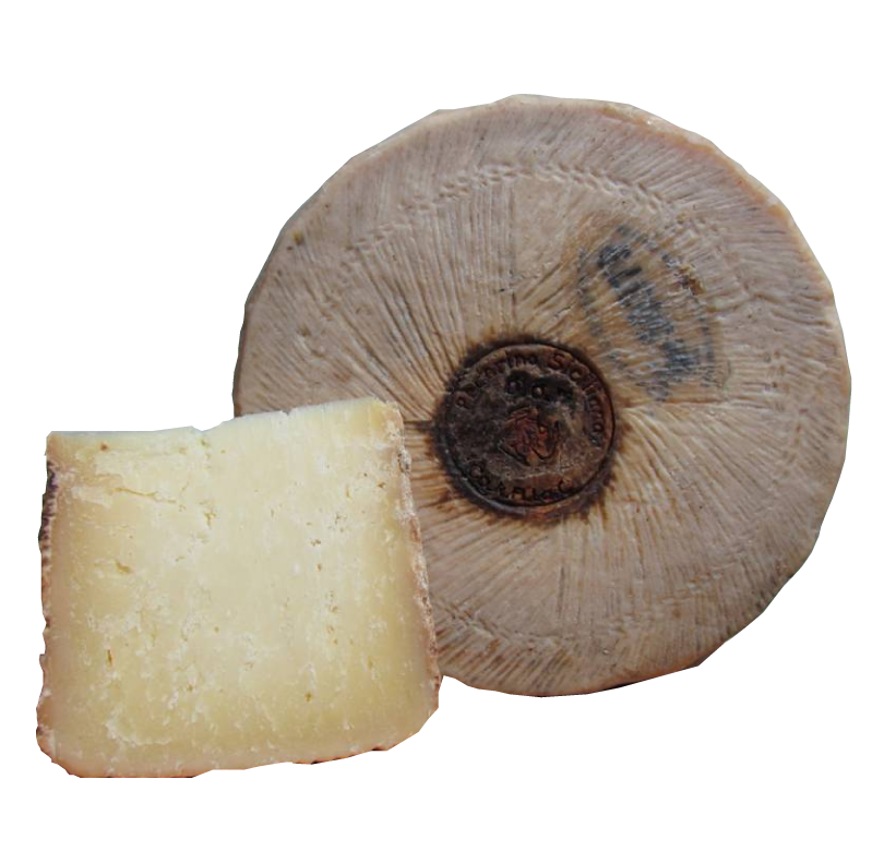 Pecorino Siciliano DOP